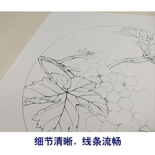 【有步骤、大彩图】李晓明工笔白描底稿圆形小品《葡萄草虫》蝈蝈初学者临摹花鸟线稿KB35 商品图4