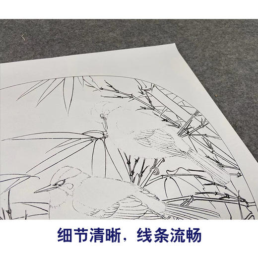 【有步骤、大彩图】李晓明工笔画白描底稿圆形小品《临宋白头丛竹图》白头翁竹子初学者临摹花鸟线稿KC26 商品图4