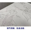 【有步骤、大彩图】李晓明工笔画白描底稿《临宋芙蓉锦鸡图》锦鸡蝴蝶初学者临摹花鸟线稿KC22 商品缩略图4
