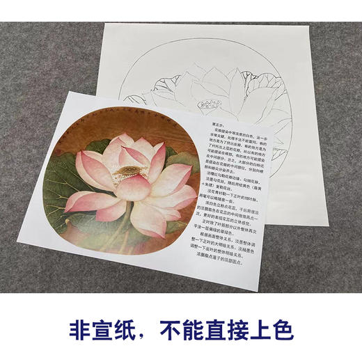 【有步骤、大彩图】李晓明工笔画白描底稿圆形小品《出水芙蓉图》荷花初学者临摹花鸟线稿KC28 商品图2