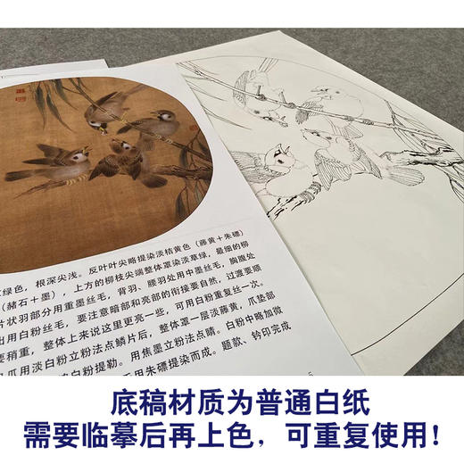 【有步骤、大彩图】李晓明工笔画白描底稿圆形小品《临宋杨柳乳雀图》柳叶雀鸟初学者临摹花鸟线稿KC12 商品图3