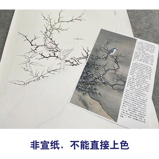 【有步骤、大彩图】李晓明工笔画白描底稿《临宋雪树寒禽图》伯劳鸟初学者临摹花鸟线稿KC24 商品图2