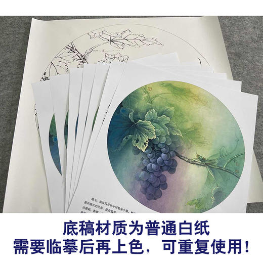 【有步骤、大彩图】李晓明工笔画白描底稿圆形《蝗虫葡萄图》临摹勾线高清打印稿 KB03 商品图3