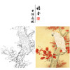 【有步骤、大彩图】李晓明工笔画白描底稿斗方《红叶鹦鹉图》临摹勾线花鸟线稿KB33 商品缩略图0