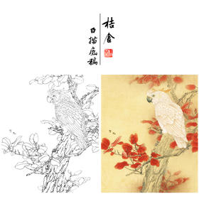【有步骤、大彩图】李晓明工笔画白描底稿斗方《红叶鹦鹉图》临摹勾线花鸟线稿KB33