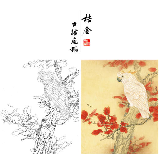 【有步骤、大彩图】李晓明工笔画白描底稿斗方《红叶鹦鹉图》临摹勾线花鸟线稿KB33 商品图0