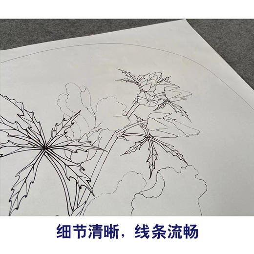【有步骤、大彩图】李晓明工笔画白描底稿圆形小品《临宋秋葵图》秋葵花初学者临摹花鸟线稿KC07 商品图4