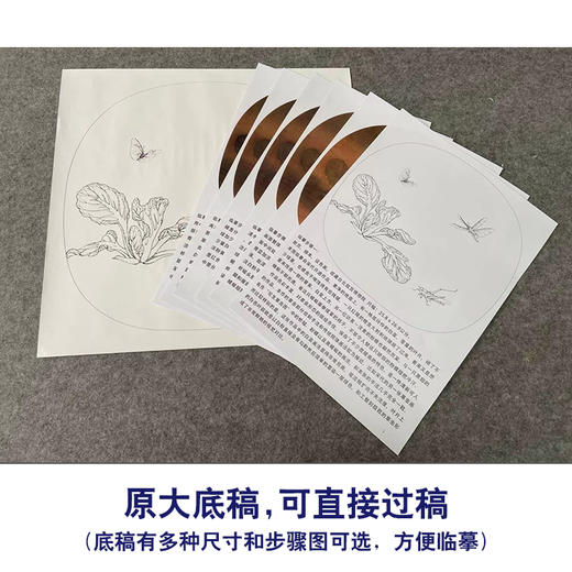 【有步骤、大彩图】李晓明工笔画白描底稿小品《临宋野蔬草虫图》白菜初学者临摹花鸟线稿KC10 商品图1