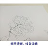 【有步骤、大彩图】李晓明工笔画白描底稿斗方小品《国色双辉》牡丹初学者临摹花鸟线稿KB34 商品缩略图4