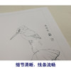 【有步骤、大彩图】李晓明工笔画白描底稿斗方小品《独立寒秋》翠鸟荷花临摹勾线花鸟线稿KB16 商品缩略图4