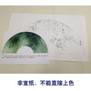 【有步骤、大彩图】李晓明工笔画白描底稿扇面小品《竹海清音》竹子初学者临摹花鸟线稿KB40 商品缩略图2
