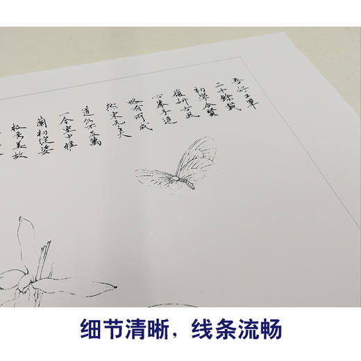 【有步骤、大彩图】李晓明工笔画白描底稿《春兰嬉蝶图》蝴蝶兰花临摹勾线花鸟线稿KB24 商品图4