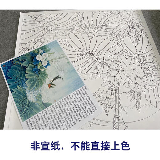 【有步骤、大彩图】李晓明工笔画白描底稿斗方《白鹇龟背竹》初学者高清打印稿KB27 商品图2