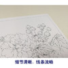 【有步骤、大彩图】李晓明工笔画白描底稿斗方小品《双色芙蓉图》临摹勾线花鸟线稿KB23 商品缩略图4