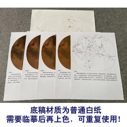 【有步骤、大彩图】李晓明工笔画白描底稿圆形小品《临宋葡萄草虫图》葡萄蜻蜓临摹勾线花鸟线稿KC11 商品图3