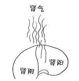 阴气是女人的命门，坚持艾灸，留住你的肾阴 ！ 