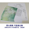 【有步骤、大彩图】李晓明工笔画白描底稿斗方小品《梨花小品》初学者高清打印稿 KB28 商品缩略图1