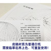 【有步骤、大彩图】李晓明工笔白描底稿小品《螳螂棕榈》初学者临摹花鸟线稿KB36 商品缩略图3
