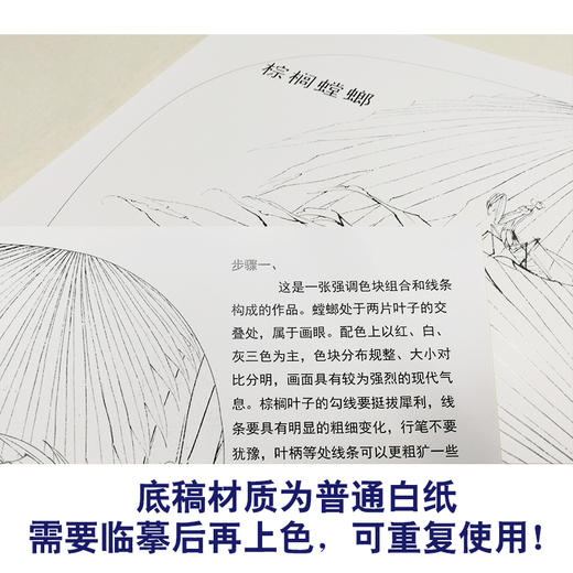 【有步骤、大彩图】李晓明工笔白描底稿小品《螳螂棕榈》初学者临摹花鸟线稿KB36 商品图3