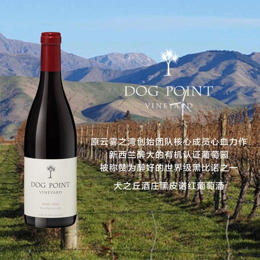 犬之丘酒庄黑皮诺红葡萄酒 2020 Dog Point Pinot Noir Red Wine 商品图0