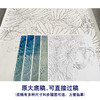 【有步骤、大彩图】李晓明工笔画白描底稿斗方《白鹇龟背竹》初学者高清打印稿KB27 商品缩略图1