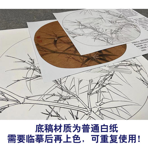 【有步骤、大彩图】李晓明工笔画白描底稿圆形小品《临宋白头丛竹图》白头翁竹子初学者临摹花鸟线稿KC26 商品图3