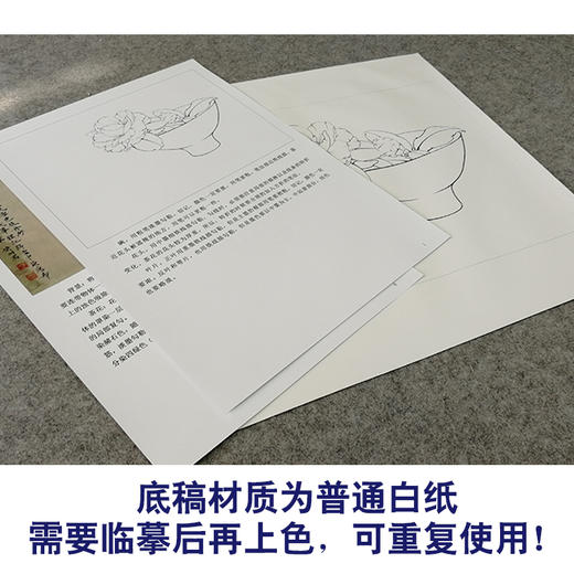 【有步骤、大彩图】李晓明工笔画白描底稿斗方小品《茶花写生图》初学者临摹勾线花鸟线稿KB11 商品图3