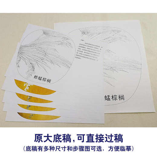 【有步骤、大彩图】李晓明工笔画白描底稿小品《蚱蜢棕榈》初学者临摹花鸟线稿KB37 商品图1