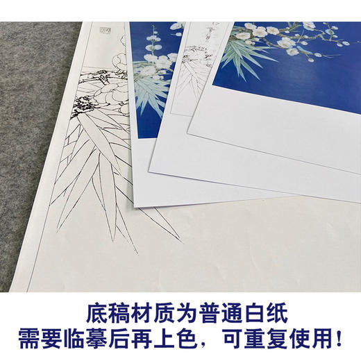【有步骤、大彩图】李晓明工笔画白描稿《暗香浮动步》梅花雀鸟初学者高清打印稿KB18 商品图3