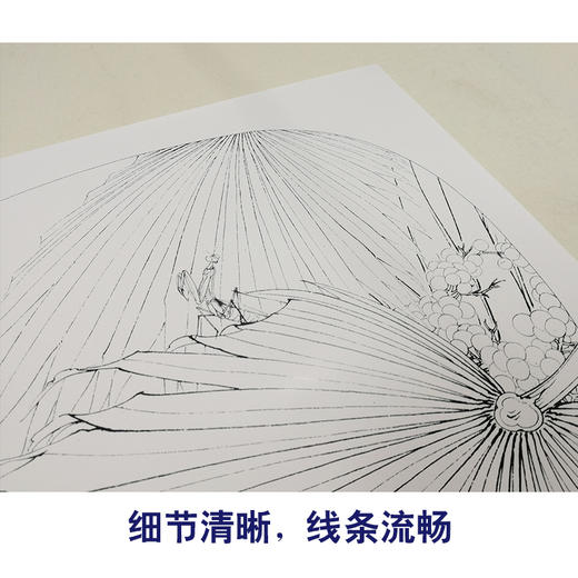 【有步骤、大彩图】李晓明工笔白描底稿小品《螳螂棕榈》初学者临摹花鸟线稿KB36 商品图4