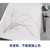【有步骤、大彩图】李晓明工笔画白描底稿斗方小品《兰花图》初学者高清打印稿KB20 商品缩略图2