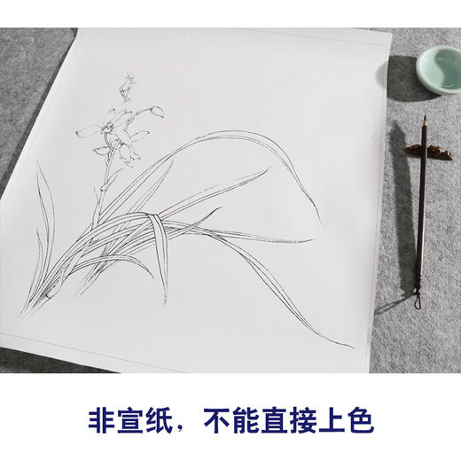 【有步骤、大彩图】李晓明工笔画白描底稿斗方小品《兰花图》初学者高清打印稿KB20 商品图2