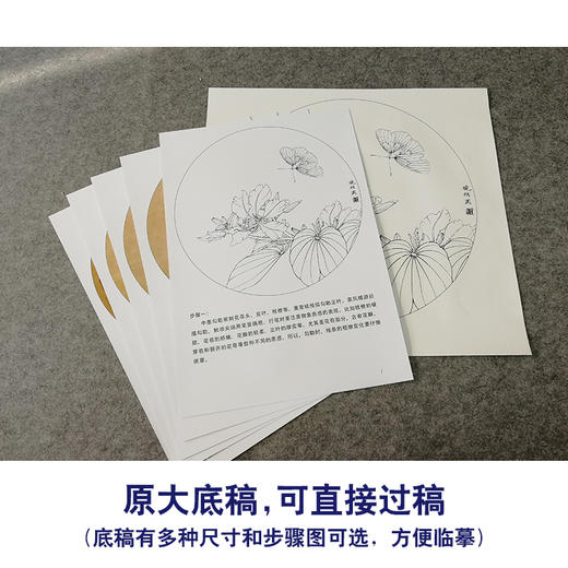 【有步骤、大彩图】李晓明工笔画白描稿圆形小品《紫荆裳凤蝶》蝴蝶初学者临摹勾线花鸟线稿KB07 商品图1