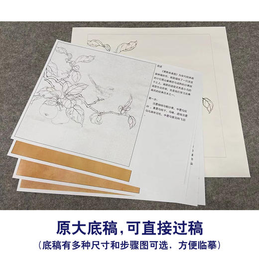 【有步骤、大彩图】李晓明工笔画白描底稿斗方小品《果熟来禽图》山雀桃枝临摹花鸟线稿KC29 商品图1