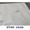 【有步骤、大彩图】李晓明工笔画白描底稿小品《临宋野蔬草虫图》白菜初学者临摹花鸟线稿KC10 商品缩略图4