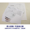 【有步骤、大彩图】李晓明工笔白描底稿小品《螳螂棕榈》初学者临摹花鸟线稿KB36 商品缩略图1