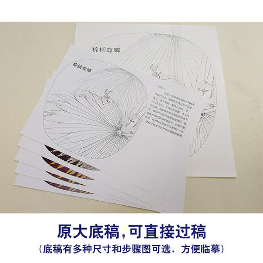 【有步骤、大彩图】李晓明工笔白描底稿小品《螳螂棕榈》初学者临摹花鸟线稿KB36 商品图1
