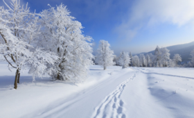 小雪到了，养生三个重点，伴您入冬！