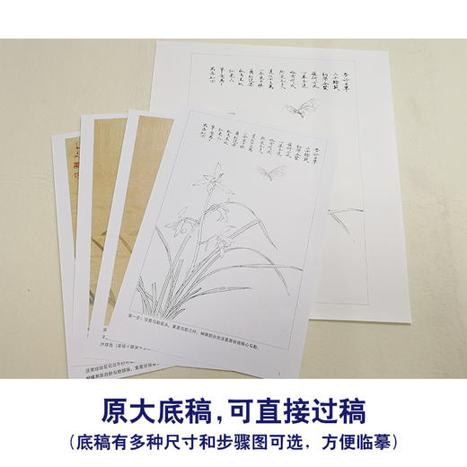 【有步骤、大彩图】李晓明工笔画白描底稿《春兰嬉蝶图》蝴蝶兰花临摹勾线花鸟线稿KB24 商品图1