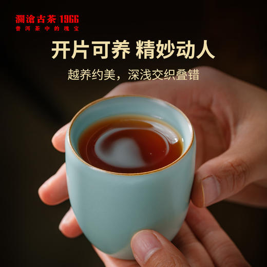 澜沧古茶会员古茶杯-天青杯 商品图2