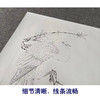 【有步骤、大彩图】李晓明工笔画白描底稿斗方小品《临宋桃鸠图》桃花斑鸠初学者临摹花鸟线稿KC16 商品缩略图4
