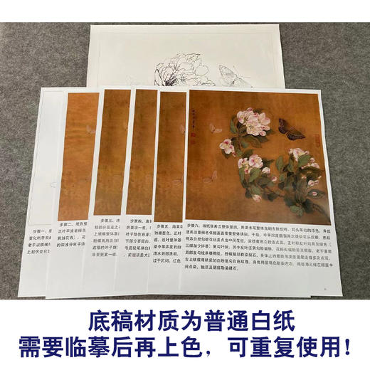 【有步骤、大彩图】李晓明工笔画白描底稿斗方小品《临宋海棠蛱蝶图》蝴蝶初学者临摹花鸟线稿KC13 商品图3