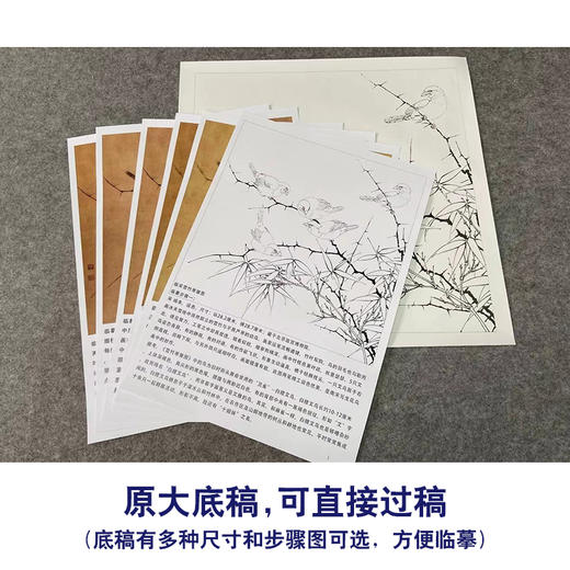 【有步骤、大彩图】李晓明工笔花鸟画白描底稿《临宋雪竹寒雏图》-斗方小品册页-KC14 商品图1