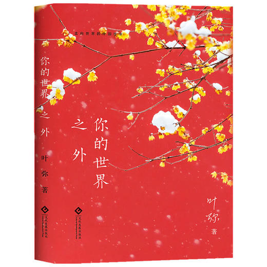 你的世界之外 叶弥 著 中国文学小说 电影太阳照常升起原著 走向世界的中国作家系列丛书 商品图1