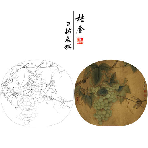 【有步骤、大彩图】李晓明工笔画白描底稿圆形小品《临宋葡萄草虫图》葡萄蜻蜓临摹勾线花鸟线稿KC11 商品图0