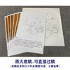 【有步骤、大彩图】李晓明工笔画白描底稿斗方小品《临宋螽斯绵瓞图》瓜果初学者临摹花鸟线稿KC17 商品缩略图1