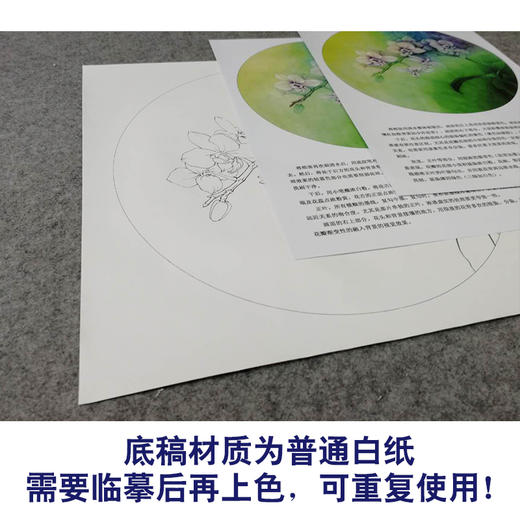 【有步骤、大彩图】李晓明工笔画白描稿小品《蝴蝶兰写真图》蝴蝶兰花临摹勾线花鸟线稿KB01 商品图3