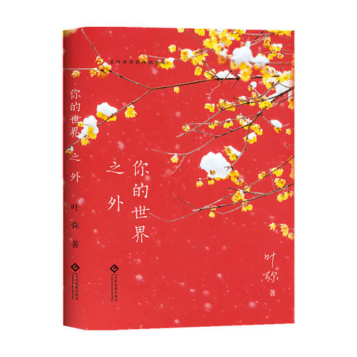 你的世界之外 叶弥 著 中国文学小说 电影太阳照常升起原著 走向世界的中国作家系列丛书 商品图0