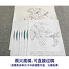 【有步骤、大彩图】李晓明工笔画白描底稿圆形《蝗虫葡萄图》临摹勾线高清打印稿 KB03 商品缩略图1