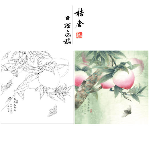 【有步骤、大彩图】李晓明工笔画白描底稿斗方小品《万年芝寿图》寿桃临摹勾线花鸟线稿KB22 商品图0